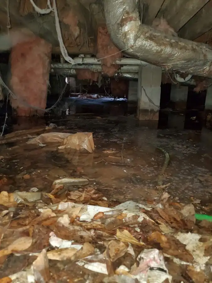 Crawl space flood assessment for Commercial Water Damage Restoration in Vestavia Hills
