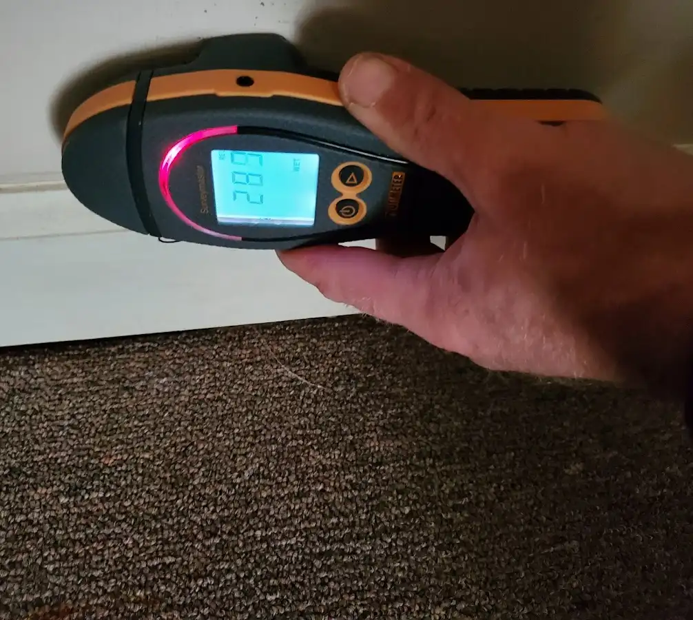 Moisture detection at baseboard during Sewage Cleanup & Sanitation in Vestavia Hills
